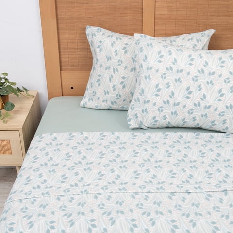 Mashini - Sabana Polar Est. 2 P Brote