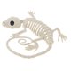thumbnail image 1 of PVC Animal Esqueleto Huesos Horror Halloween Hogar Casa Encantada Decoración-Gecko, 1 of 6