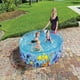 thumbnail image 3 of Piscina Semi Rigida 1.83m x 38cm, 3 of 3