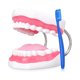 thumbnail image 1 of Modelo Dental de Boca Ultrassist Magnum 6x 32 Dientes, 1 of 3
