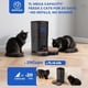 thumbnail image 3 of Comedero Automatico Gato PAPIFEED 7L WiFi Doble Bowl 2.4GHz, 3 of 3