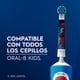 thumbnail image 4 of Cabezal Cepillo de Dientes Redondo de Repuesto Marvel Spider-Man, 1 Un, 4 of 5