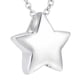 thumbnail image 4 of Collar De Urna De Estrella Pequeña, Colgante Conmemorativo, Soporte De Urna Para Perfume Para Mascotas, Marido Argent, 4 of 5