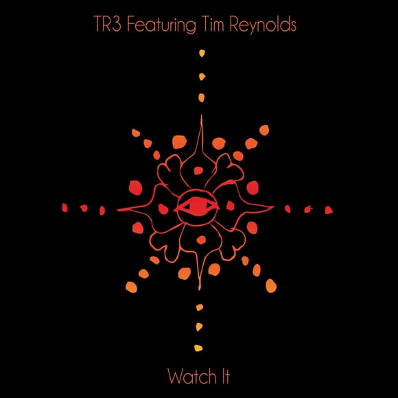 Watch It MRI TR3 con Tim Reynolds