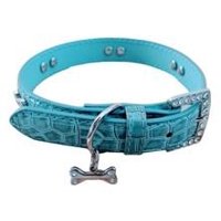 Genérico - Collar Para Perros O Gatos Hueso Celeste L