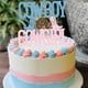 thumbnail image 4 of Decoración de tarta para baby shower con diseño de vaquero o vaquera, revelador de género, 4 of 5