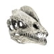 thumbnail image 4 of 1/3 Escala Dinosaurio Dilophosaurus Resina Cráneo Modelo Coleccionables Blanco, 4 of 4