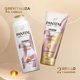 thumbnail image 2 of Shampoo Pantene y Acondicionador Pro-V Miracles Cólageno Nutre y Revitaliza, 2 of 6