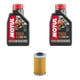 thumbnail image 1 of Kit Mantencion Ktm 200 250 390 (2l + Filtro Japonés), 1 of 3