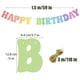 thumbnail image 2 of Banner de cumpleaños DDLP Pastel Rainbow Girls de 13 pies, 2 of 7