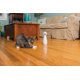 thumbnail image 4 of Juego Láser Bolt para gatos., 4 of 4
