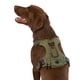 thumbnail image 1 of Arnés para bolsas de basura KONG ultra duradero para perros pequeños (verde), 1 of 2