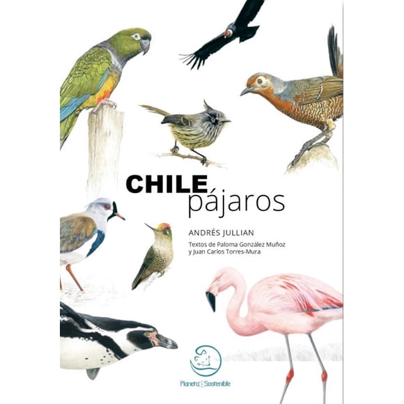 Chile pájaros, una aproximación