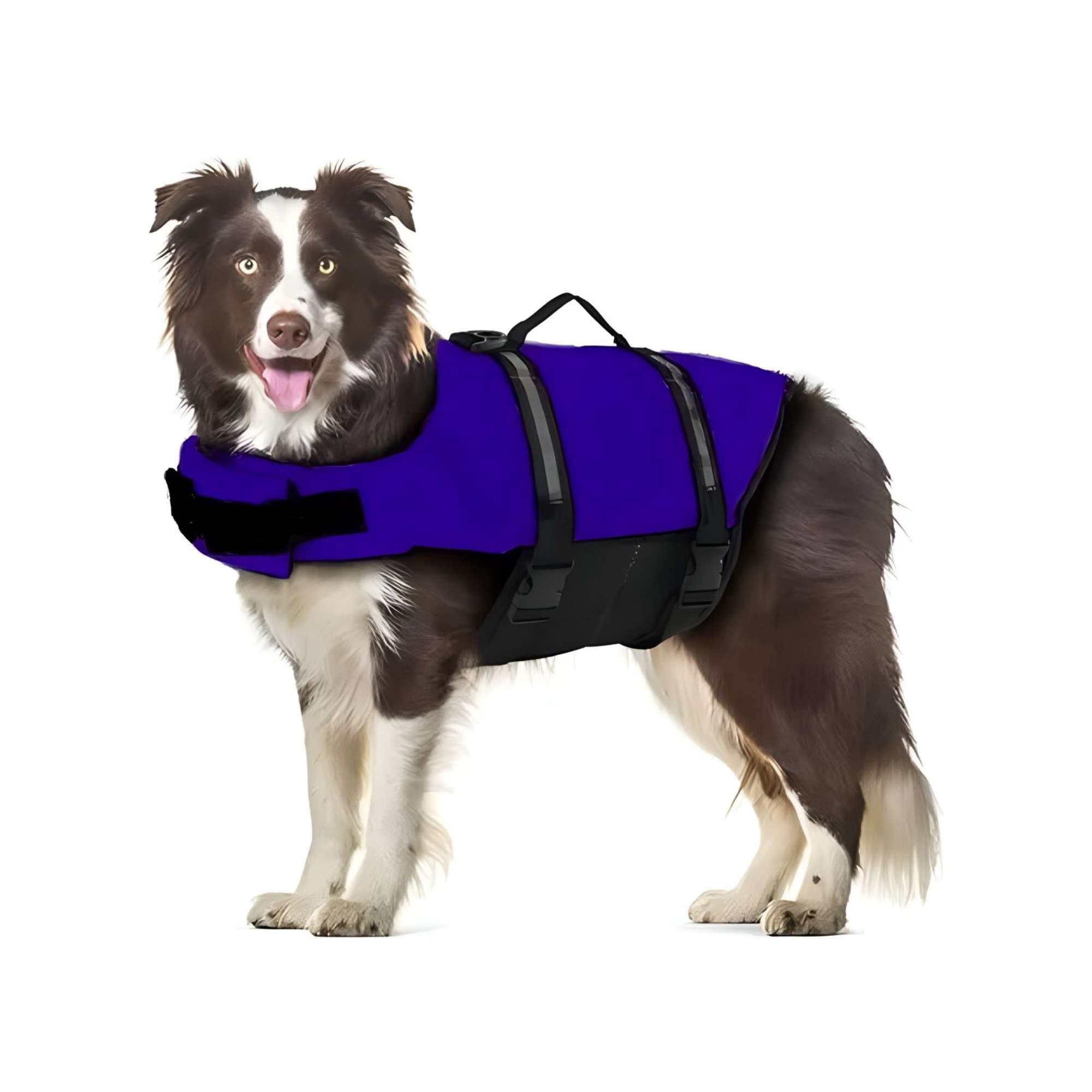 Imac Hogar - Chaleco Salvavidas Para Perros Talla M 68x52 Cm