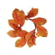 thumbnail image 4 of Anillos De Velas De Otoño Anillos De Velas De Otoño Coronas Para Mesa De Comedor De Mesa, 4 of 5