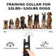 thumbnail image 4 of Collar de adiestramiento para perros DOG CARE recargable con control remoto, 4 of 6