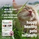 thumbnail image 4 of Medicine HomeOpet Feline UTI Plus para el tracto urinario, 15 ml, para gatos, 4 of 7