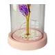 thumbnail image 5 of Rosa Eterna Encapsulada Flor Artificial Regalo Dia Del Amor, 5 of 6