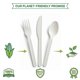 thumbnail image 5 of Cucharas compostables Koala love 150, grandes, biodegradables, 5 of 8