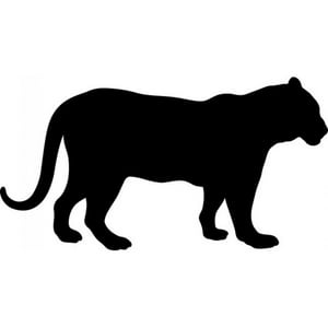 Rienda Libre Graphics - Decomural Lioness African Animals Ws-15823
