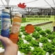 thumbnail image 3 of Kit ajustador de pH Up y Down Dave Ocean 300 ml para hidroponía, 3 of 9