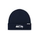 thumbnail image 1 of Gorro FOCO Seattle Seahawks NFL Basic Primary Logo Azul, 1 of 4