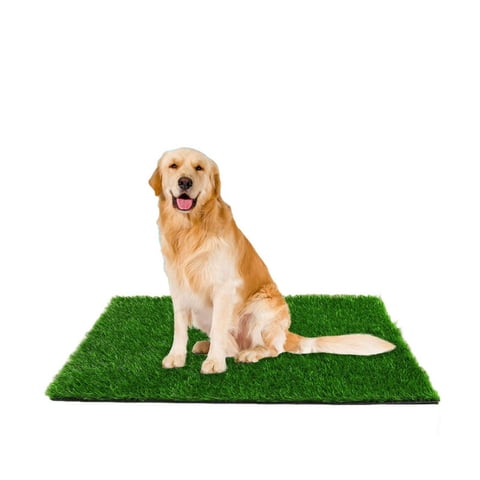 Beyai - Alfombra Baño Ecológico Sanitario Para Mascotas 46X71Cm