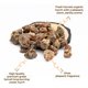 thumbnail image 2 of Incienso Igneous Products 113 g Resina de Mirra Dulce 4 oz, 2 of 9