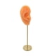thumbnail image 5 of Soporte De Exhibición De Pendientes, Modelo De Oído Humano, Soporte De Perno, Escaparate, Organizador De Joyas, Piel Normal Derecha, 5 of 5