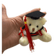 thumbnail image 5 of Pack 12 Ositos Surtidos Graduación Obsequio Regalo, 5 of 6