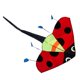 thumbnail image 3 of Ladybug Fly Kite Easy To Fly Triangle Kite Con Cuerda Delta Kite Para Deportes, 3 of 5
