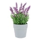 thumbnail image 1 of Lavanda Morada En Macetero 25 Cm, 1 of 2