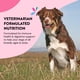thumbnail image 5 of Suplementos Para Piel Y Pelaje De Perros 60 Unidades, 5 of 7