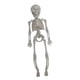 thumbnail image 3 of Esqueletos De Articulación De Cuerpo Completo, Decoración De Estatuilla De Estatua De Esqueleto De Halloween De 11'', 3 of 3