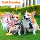 thumbnail image 4 of Juego de 2 juguetes con forma de cuerda para masticar para perros medianos y pequeños, 4 of 7