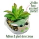 thumbnail image 3 of Mini planta suculenta decorativa RALME Mandalorian Baby Yoda, 3 of 6