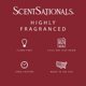 thumbnail image 3 of Scentsationals Red Hot Cinnamon Scented Christmas Wax Melts, 3 of 3