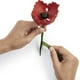 thumbnail image 3 of Cinta Adhesiva Para Flores, 3 of 3