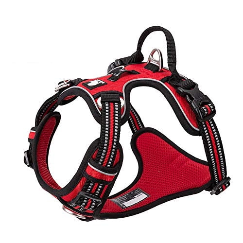 Arnés para perros TRUE LOVE TLH56512 de nailon reflectante ajustable