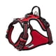 thumbnail image 1 of Arnés para perros TRUE LOVE TLH56512 de nailon reflectante ajustable, 1 of 8