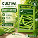 thumbnail image 5 of Semillas Poroto Verde Brisol para Huerto Familiar, 5 of 5