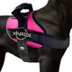 thumbnail image 1 of Arnés para perro Joyride 2.0 Rojo Rosa 2XL, 1 of 8