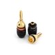 thumbnail image 2 of Conectores banana Sewell de 10 pares, chapado en oro, 4 cm, 2 of 8