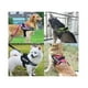 thumbnail image 3 of Arnes Police K9 Reforzado Perros, 3 of 3