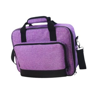 Bothyi - Bolsa Para Proyector, Viaje Multifuncional Con Correa Para El Hombro, Estuche De Transporte Grande