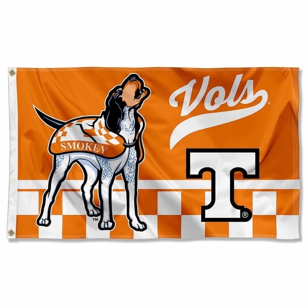 Bandera College Flags & Banners Co. 91 cm x 150 cm