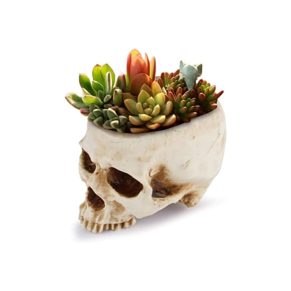 Macetero Calavera para Suculentas 16 x 10 x 11 cm Halloween - Frank & Mortis