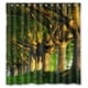 thumbnail image 1 of Cortina de ducha con diseño de árbol, juego de cortinas de baño con ganchos, tamaño 66 x 72 pulgadas, 1 of 3