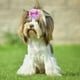 thumbnail image 5 of pinzas para el pelo de perro, gato, perro, mascota, hechas a mano, 5 of 5