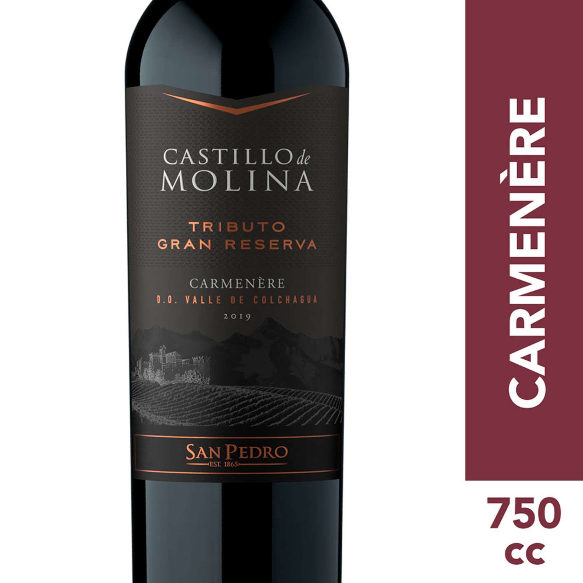 Castillo De Molina - Vino Tinto Carmenere Gran Reserva 14° Botella
